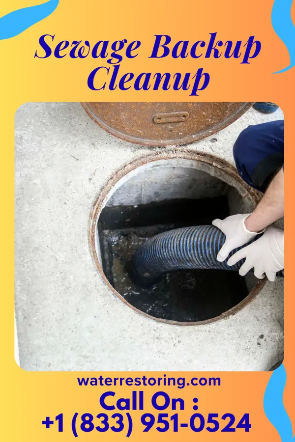 Sewage Backup Cleanup in Redings Mill, MO